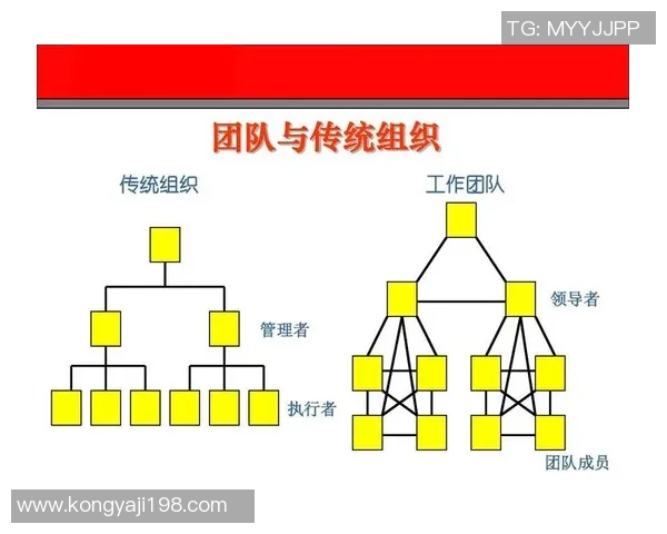 南京排球队战术解析:聚焦技术与团队协作的完美结合 南京排球队战术解析:聚焦技术与团队协作的完美结合